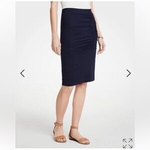 Ann Taylor Skirt